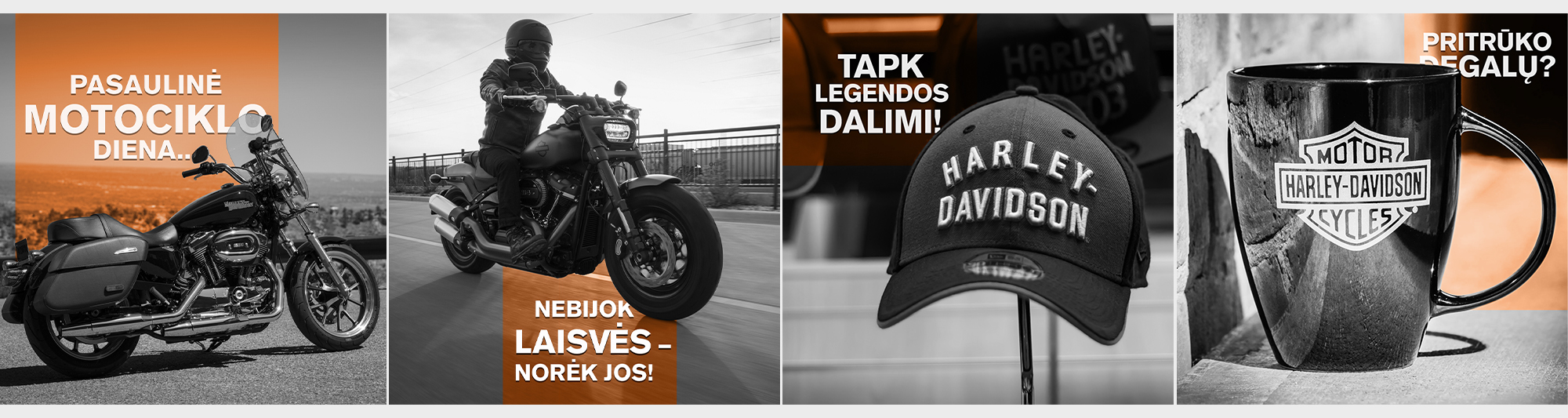 Harley Davidson portfolio