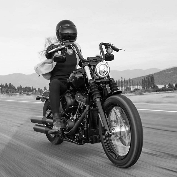 Harley Davidson portfolio